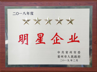 常寶股份榮獲“工業(yè)五星級企業(yè)”、“納稅金獎”等多項大獎156.png